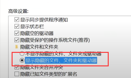 显示隐藏的文件、文件夹和驱动器
