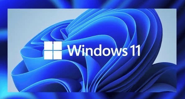 win11