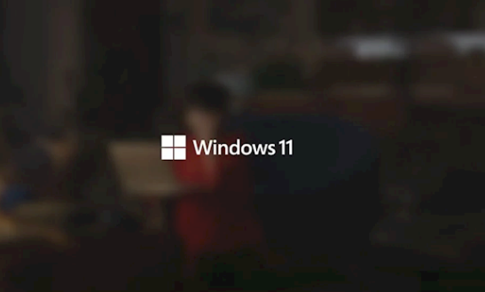 Windows 11