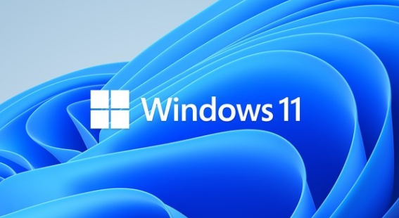 Windows 11全球性Bug