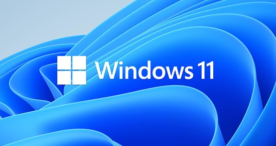 windows11频现系统bug