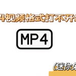 遇到MP4视频格式打不开怎么解决