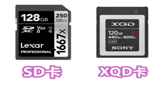 迷你兔分享:什么是XQD存储卡